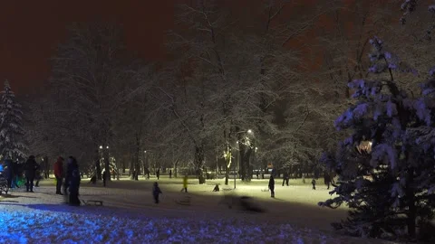First snow, children ride the sledge Stock Footage 85595734