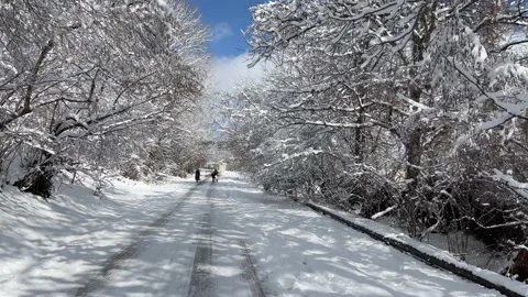 First snow in city Stock Footage 230023403