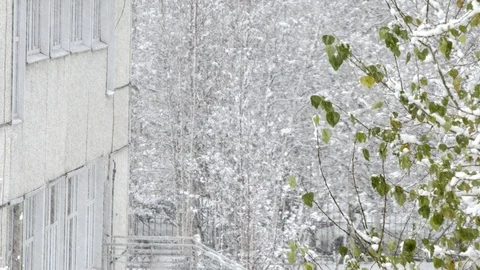 The first snow comes from the sky Stock Footage 97238688