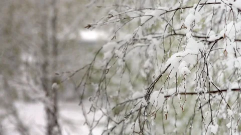 The first snow comes from the sky Stock Footage 97239038