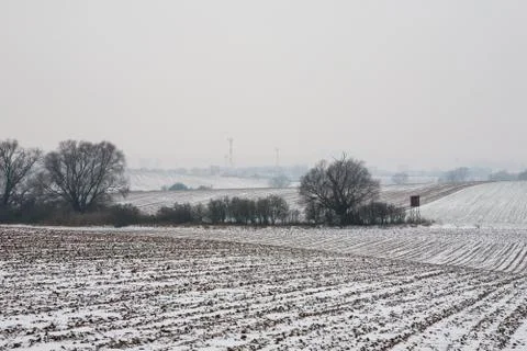 First snow on the corn field Stock Photos