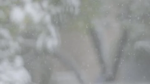 First Snow Drift - Snowflakes fall 動画素材 259617111