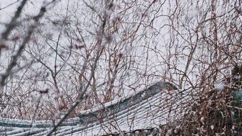 First Snow - Drifting snow in ancient Chinese gardens Stock Footage 233578998