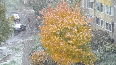 First snow in early fall october leaf orange Stock Footage 117724106