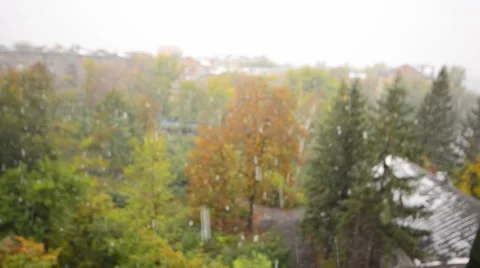 First Snow Fall in the City, Defocused View Vídeos de archivo 31485735