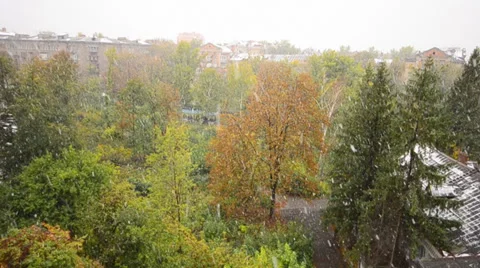 First Snow Fall in the City, Winter Scene Vídeos de archivo 31485946