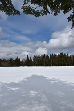 The first snow in the fall Stock Photos