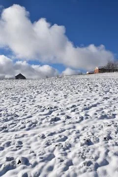 The first snow in the fall Stock Photos