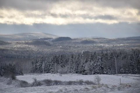 The first snow in the fall Stock Photos