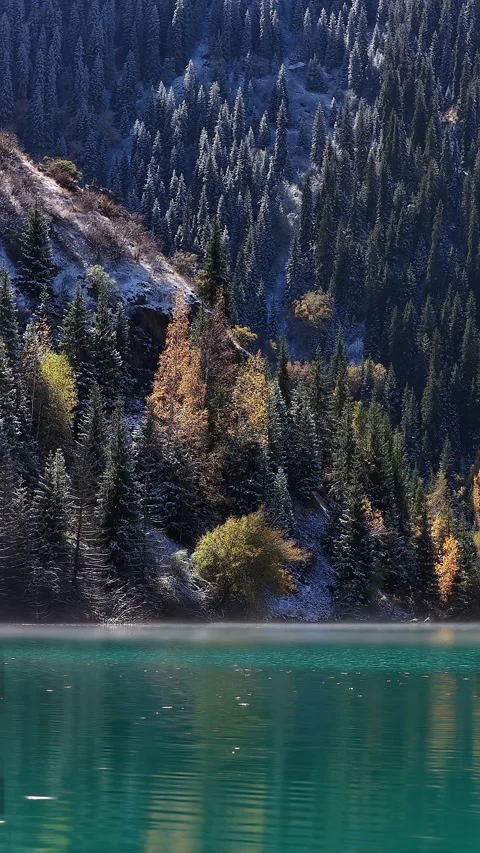 First snow falling on autumn forest by emerald Issyk's lake, Kazakhstan Видео 344588766
