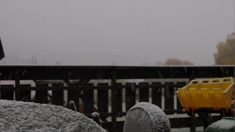 First snow falling Birds singing in the background Stock Footage 95803309