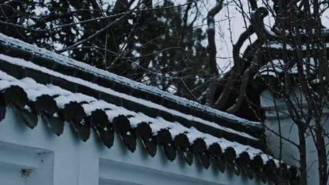 First snow falling - close-up of snowflakes in ancient Chinese gardens Stock Footage 233579029