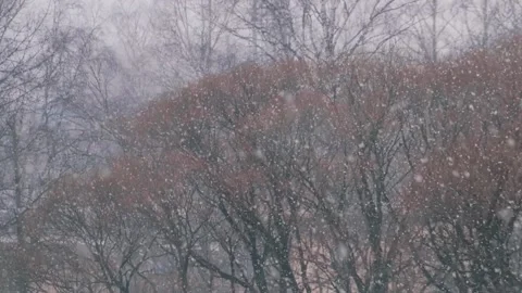 The first snow is falling Video stock 165994414