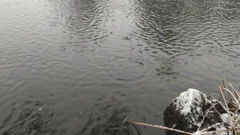 First snow falling on not-yet-frozen lake Stock Footage 224486968