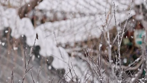 First Snow Falling - Snowflakes in Ancient Chinese Gardens Vídeo Stock 233579072