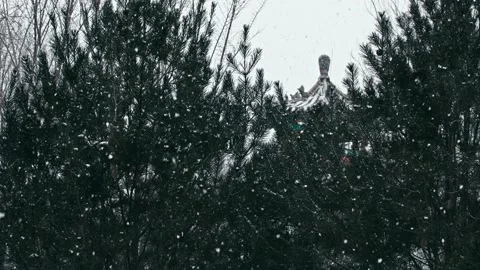 The First Snow Falls - Chinese Ancient Building Pine Trees Snow Stock Footage 233580202