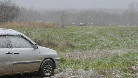 The first snow falls on the field and forest Stock Footage 141379207