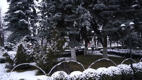 The first snow falls on the trees in the park. Video stock 101725945