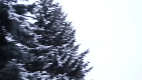 The first snow falls on the trees in the park. A flock of birds flies in the  Video stock 101725952