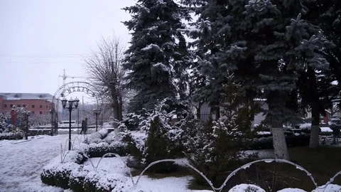 The first snow falls on the trees in the park. Stock Footage 101725960