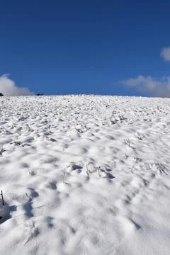 First snow in the fields Stock Photos