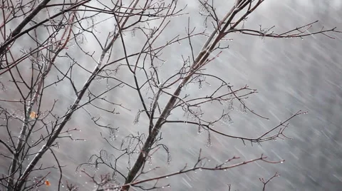 First snow Stock Footage 941854