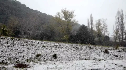 First snow. Stock Footage 950806