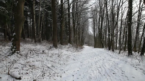 First Snow Stock Footage 24703073