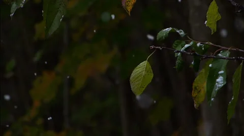 First snow Stock Footage 32119942