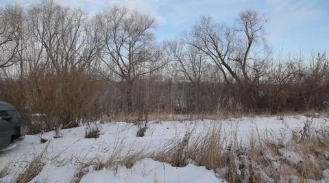 First snow Video stock 48896446