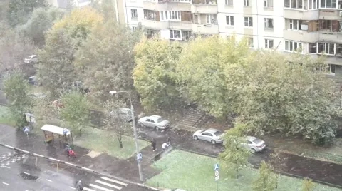 First snow Stock Footage 55766367