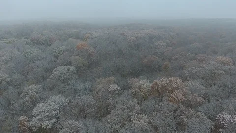 First Snow Stock Footage 98378714