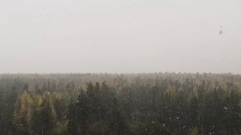The first snow Stock Footage 115960323