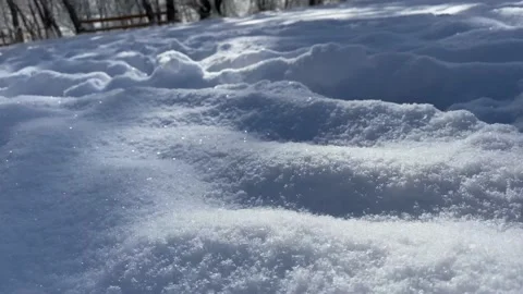 First snow Stock Footage 230023388
