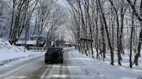 First snow Stock Footage 230023405