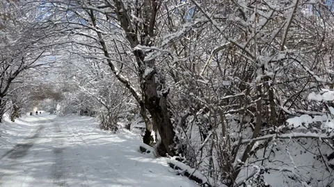 First snow Stock Footage 230023406