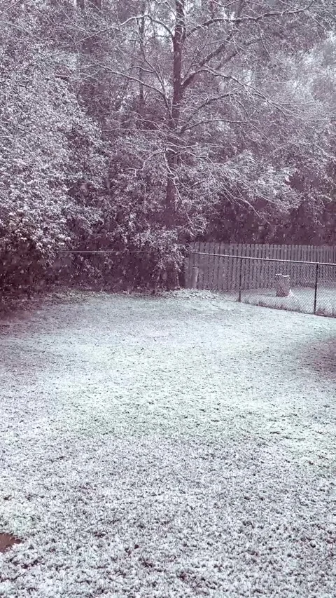 First snow Stock Footage 279523616