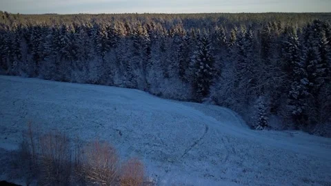 The first snow Video stock 321655914