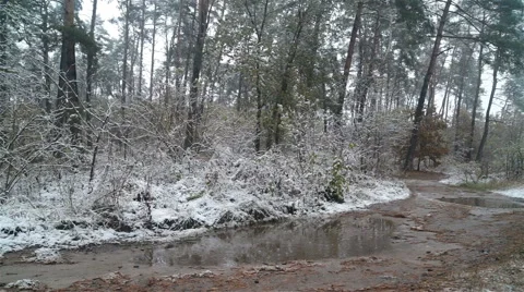 First snow in the forest. Road with puddles. Stock-Footage 69001386