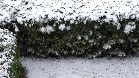 First snow in the garden Stock Footage 289126088
