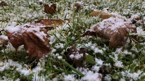 First Snow in the grass garden Time Lapse 02 Stock Footage 101937584