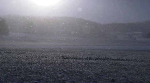 First snow on green grass in slow moition Stockbeeldmateriaal 33119412