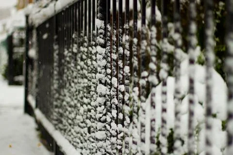 First snow impression, beautiful winter concept. Stock Photos