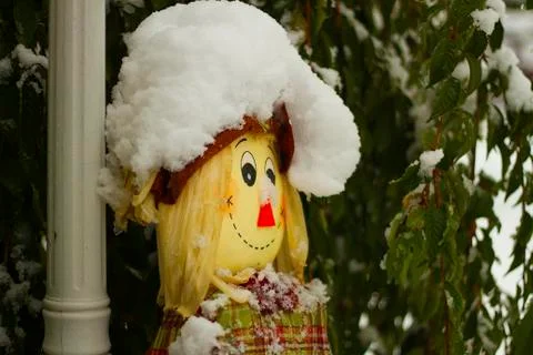 First snow impression, beautiful winter concept. Stock Photos