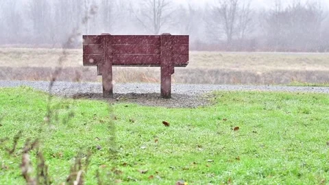 First snow looking at the park bench Stock-Footage 257942693