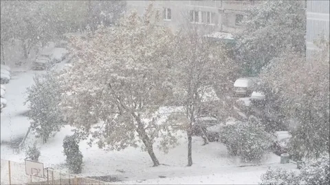 First snow in Moscow Stock Footage 82267848