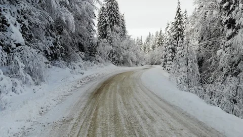 First snow on the mountain forest trees, winter driving plate. Stock Footage 124432800