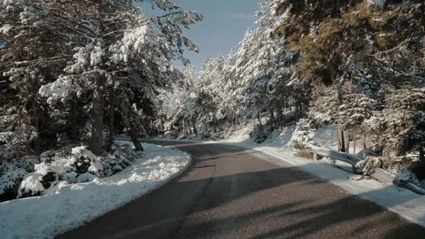 First snow on the mountain forest, winter driving plate Stock Footage 84142501