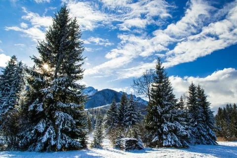 First snow at the mountain Stock Photos