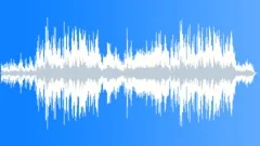 First snowStock Music